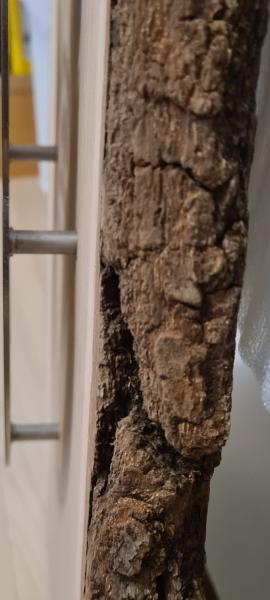 Wandbild mit Hirschkopf